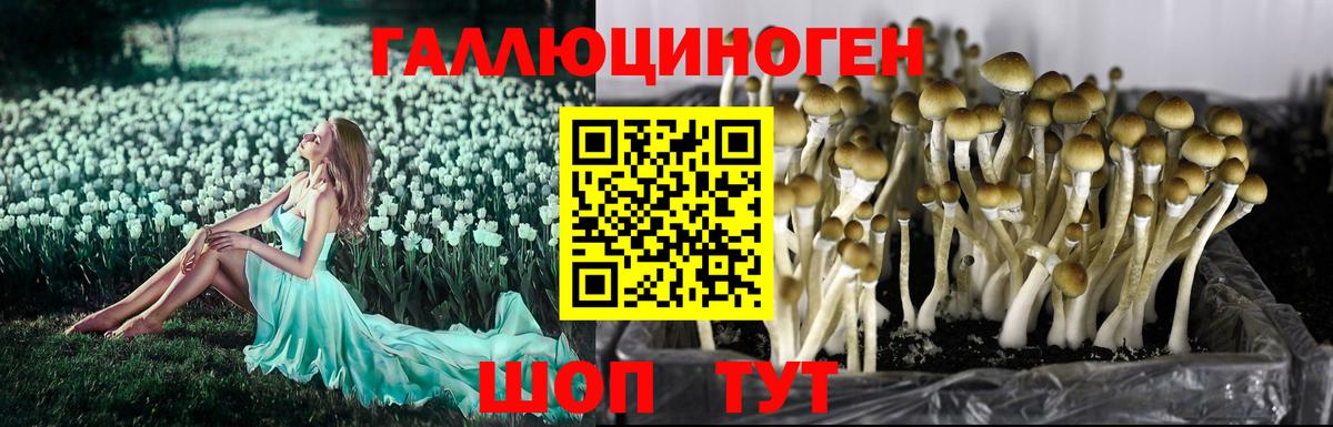 Галлюциногенные грибы GOLDEN TEACHER  Вход с VPN  Лысьва 